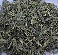 Lemon grass