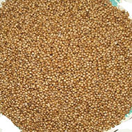 Coriander Seeds