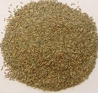 Fennel seeds