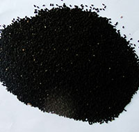 Black cumin