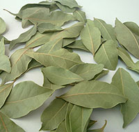 Laurel leaves